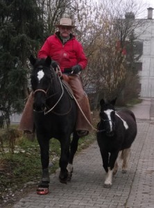 Ausbildungspferd Samun in sicherer Begleitung von Berni und Prom