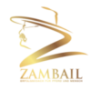 Berni Zambail Logo