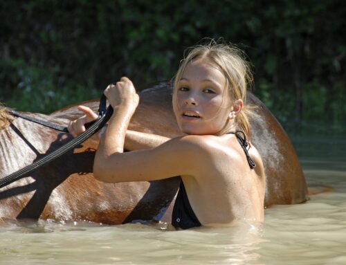 Badezeit mit Pferden